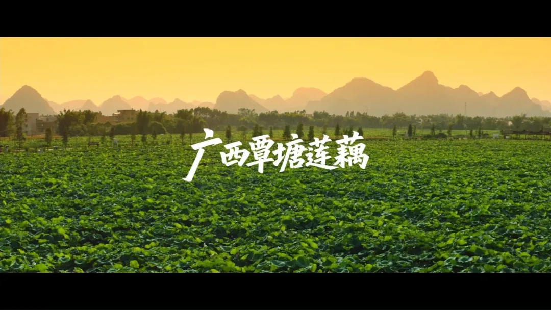 2025~2026第七届中国商业摄影大赛获奖作品公示 · 作品图65