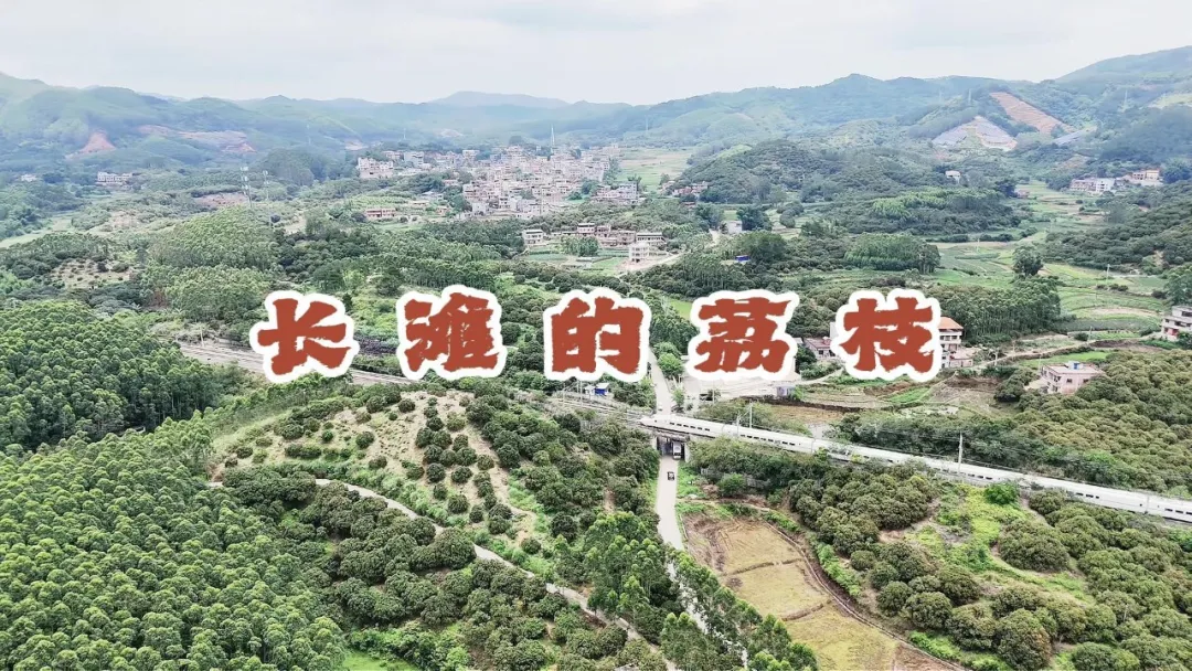 2025~2026第七届中国商业摄影大赛获奖作品公示 · 作品图64