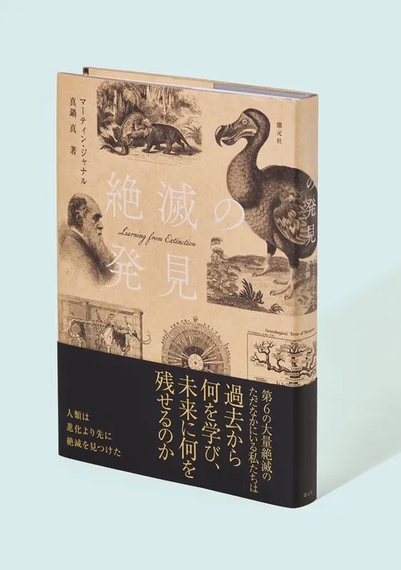2026日本“最美的书”获奖作品 · 作品图12