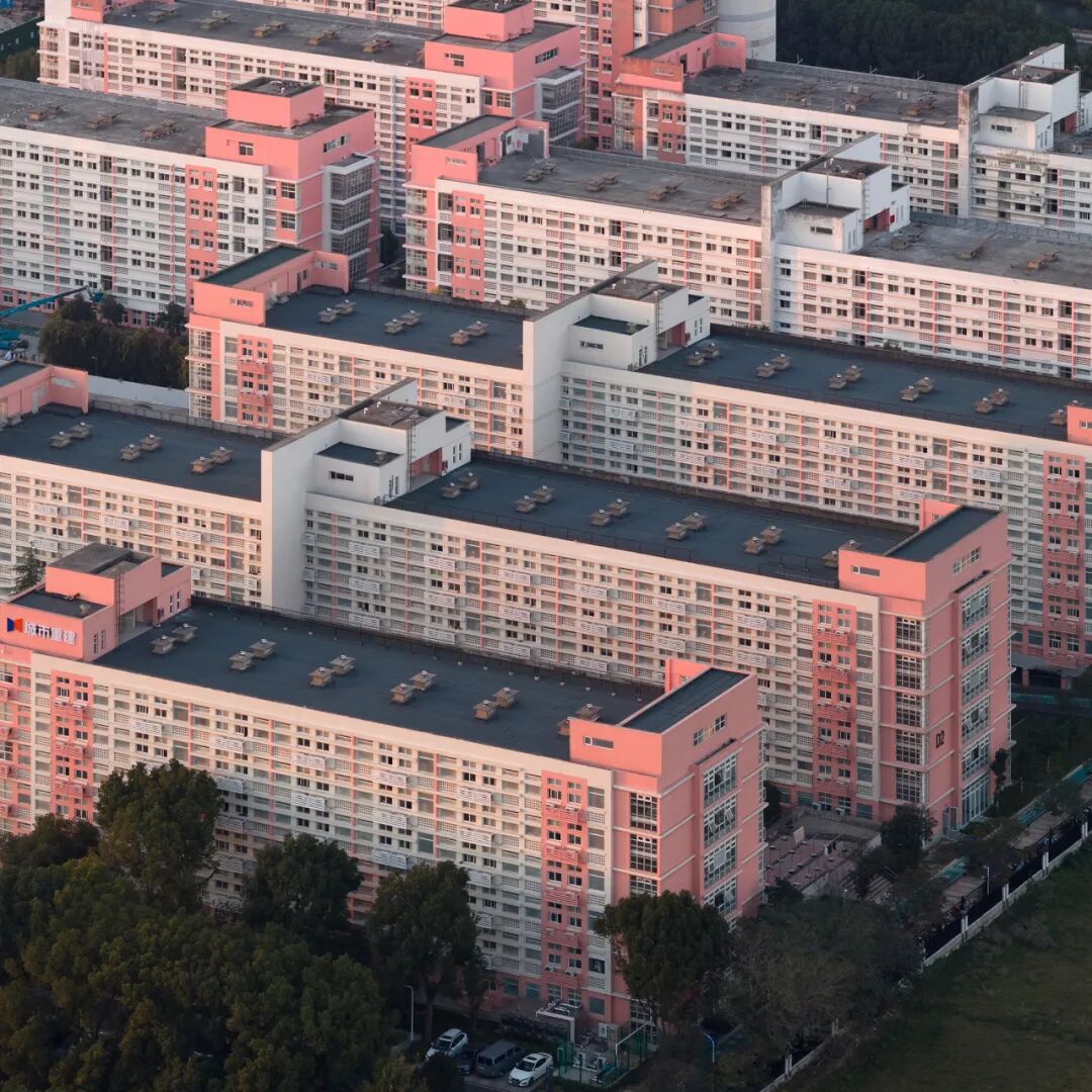 2026 Dezeen 中国区设志大奖 Top 30 榜单及作品 · 作品图13