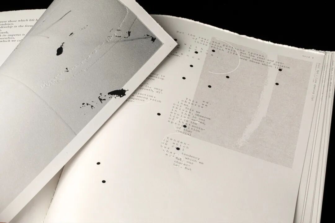 Graduate360° 2026 毕业设计 BEST 100 获奖作品公布! · 作品图9