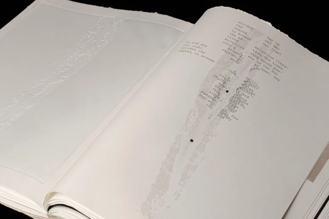 Graduate360° 2026 196件优秀毕业设计揭晓 · 作品图8