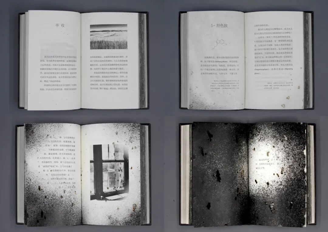 Graduate360° 2026 196件优秀毕业设计揭晓 · 作品图121