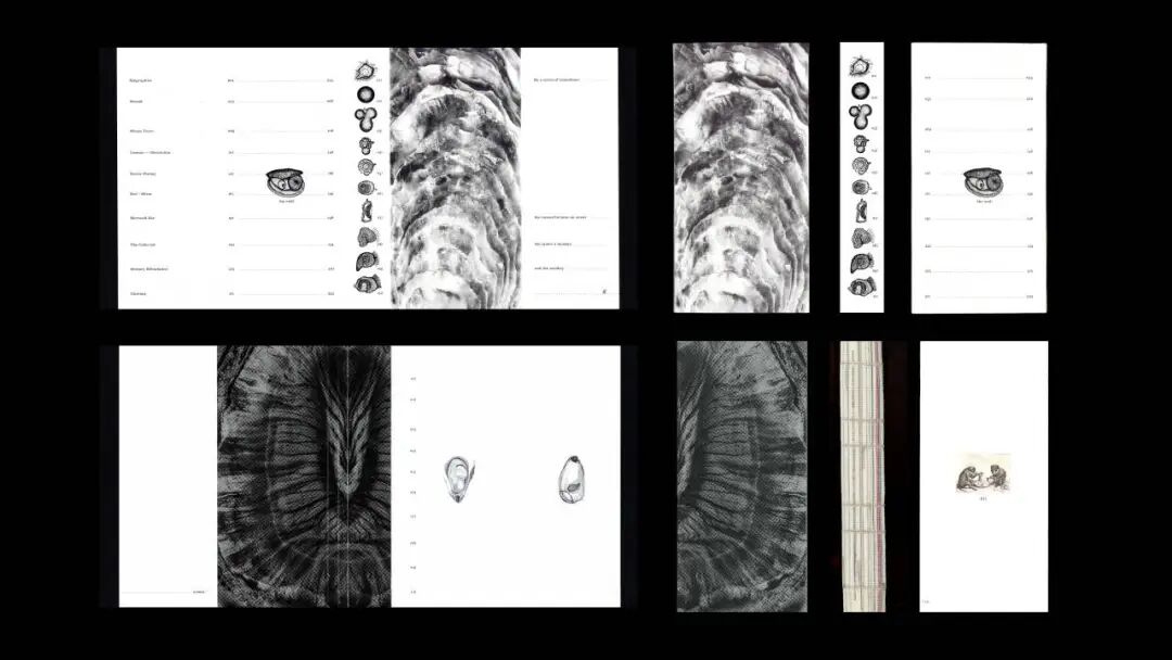 Graduate360° 2026 毕业设计 BEST 100 获奖作品公布! · 作品图24