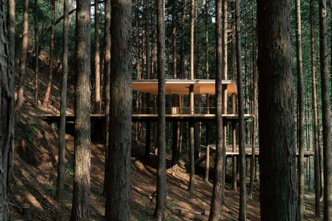 2026 Dezeen Awards 亚太地区甄选 Top50 榜单正式揭晓 · 作品图32