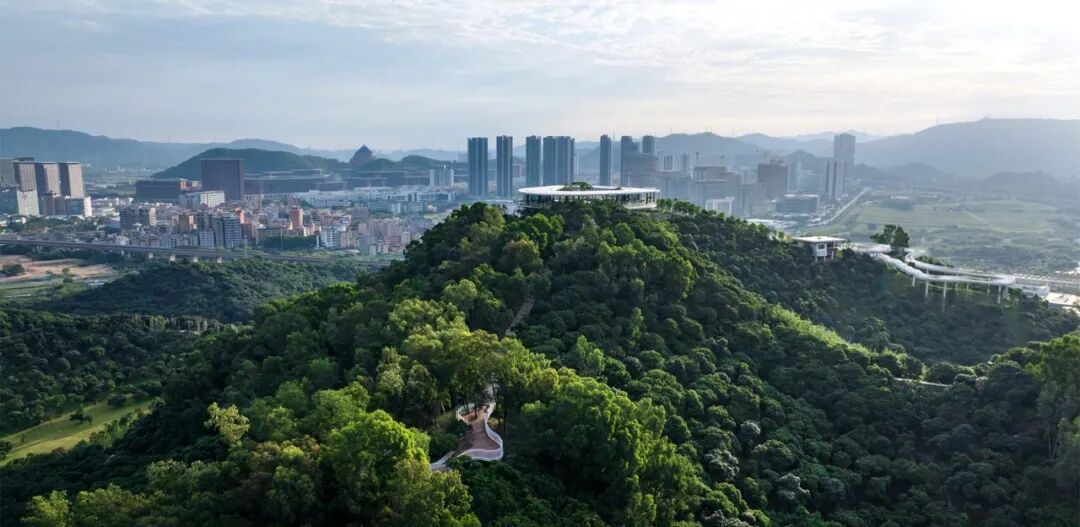 2026 Dezeen 中国区设志大奖 Top 30 榜单及作品 · 作品图23