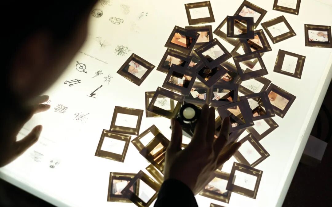 Graduate360° 2026毕设金奖名单及作品公布! · 作品图60