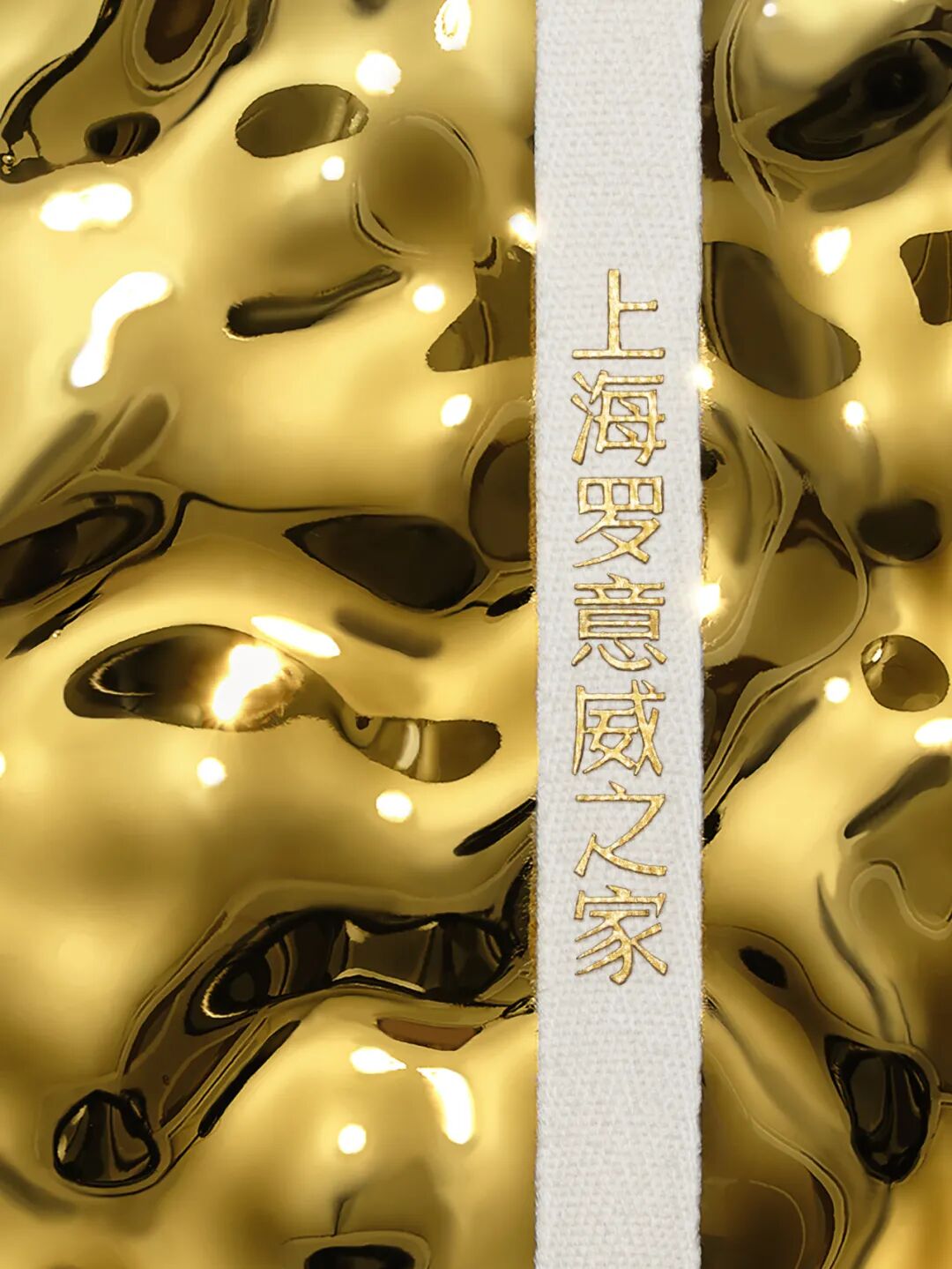 第72届TDC纽约字体指导俱乐部大奖中国区及华人25件获奖作品 · 作品图39