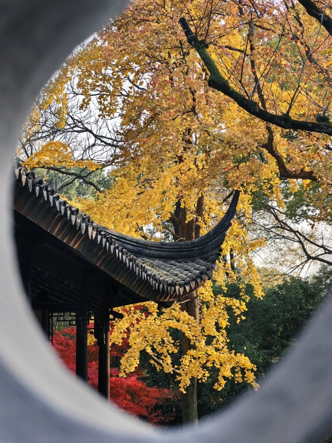 “看见·不可见之境”—苏州科技馆“微观世界”摄影作品征集大赛获奖公示 · 作品图91