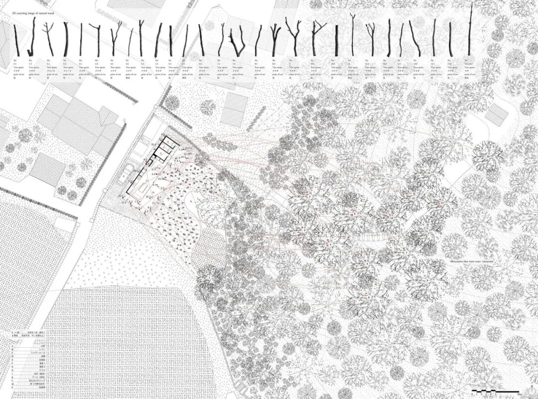 日本东京建筑师协会“2026住宅建筑奖”获奖作品 · 作品图44