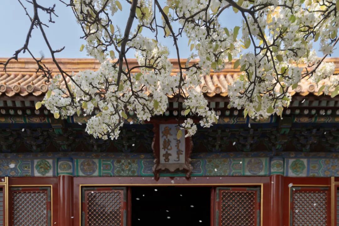 2026 “匠心营造·经典流传”第一届“中国古建筑”摄影大展 | 线上展览(三) · 作品图144