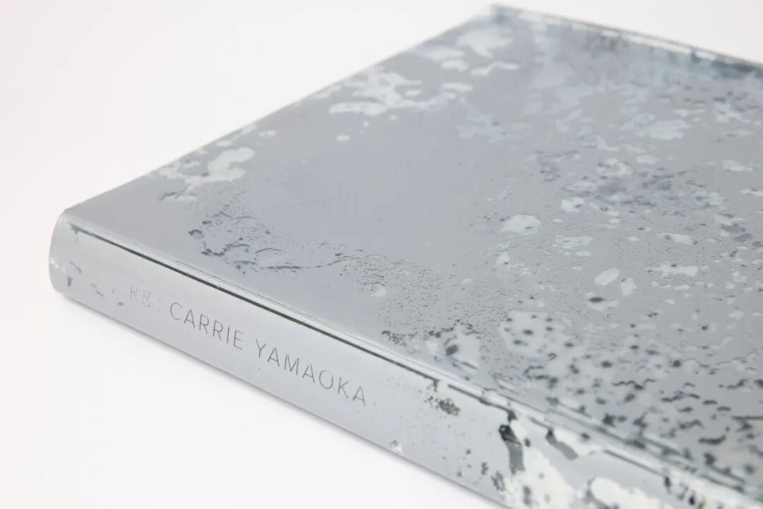 美国平面设计协会 AIGA(American Institute of Graphic Arts)2025 年最佳书籍与封面设计 · 作品图237