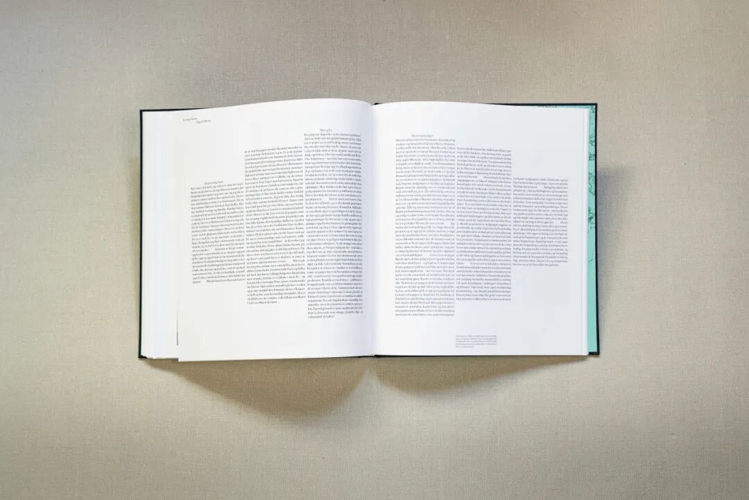美国平面设计协会 AIGA(American Institute of Graphic Arts)2025 年最佳书籍与封面设计 · 作品图122