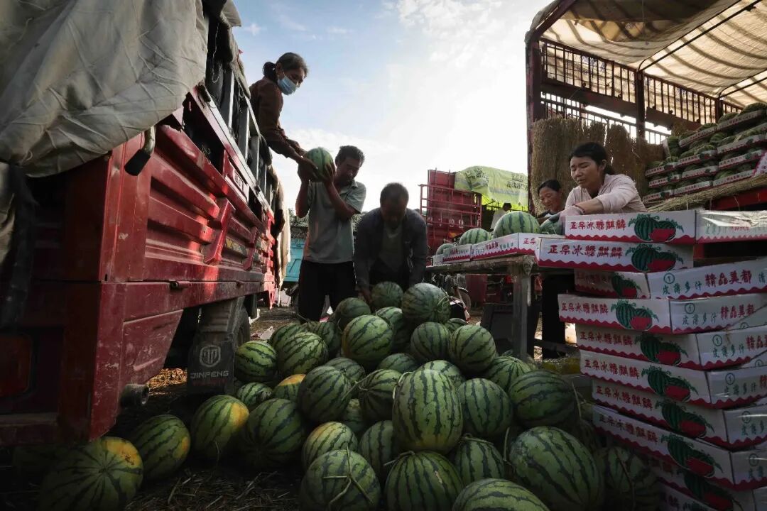 2026第二十届河南省“新人新作”摄影展入选作品公示(相机组一) · 作品图410