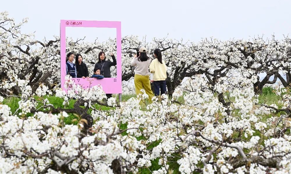 2026第二十届河南省“新人新作”摄影展入选作品公示(相机组一) · 作品图281