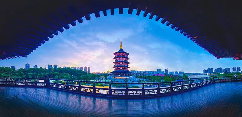 2026第二十届河南省“新人新作”摄影展入选作品公示(手机组) · 作品图148