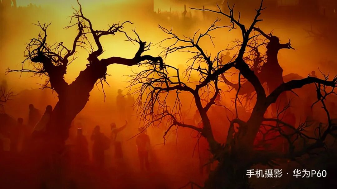 2026第二十届河南省“新人新作”摄影展入选作品公示(手机组) · 作品图6