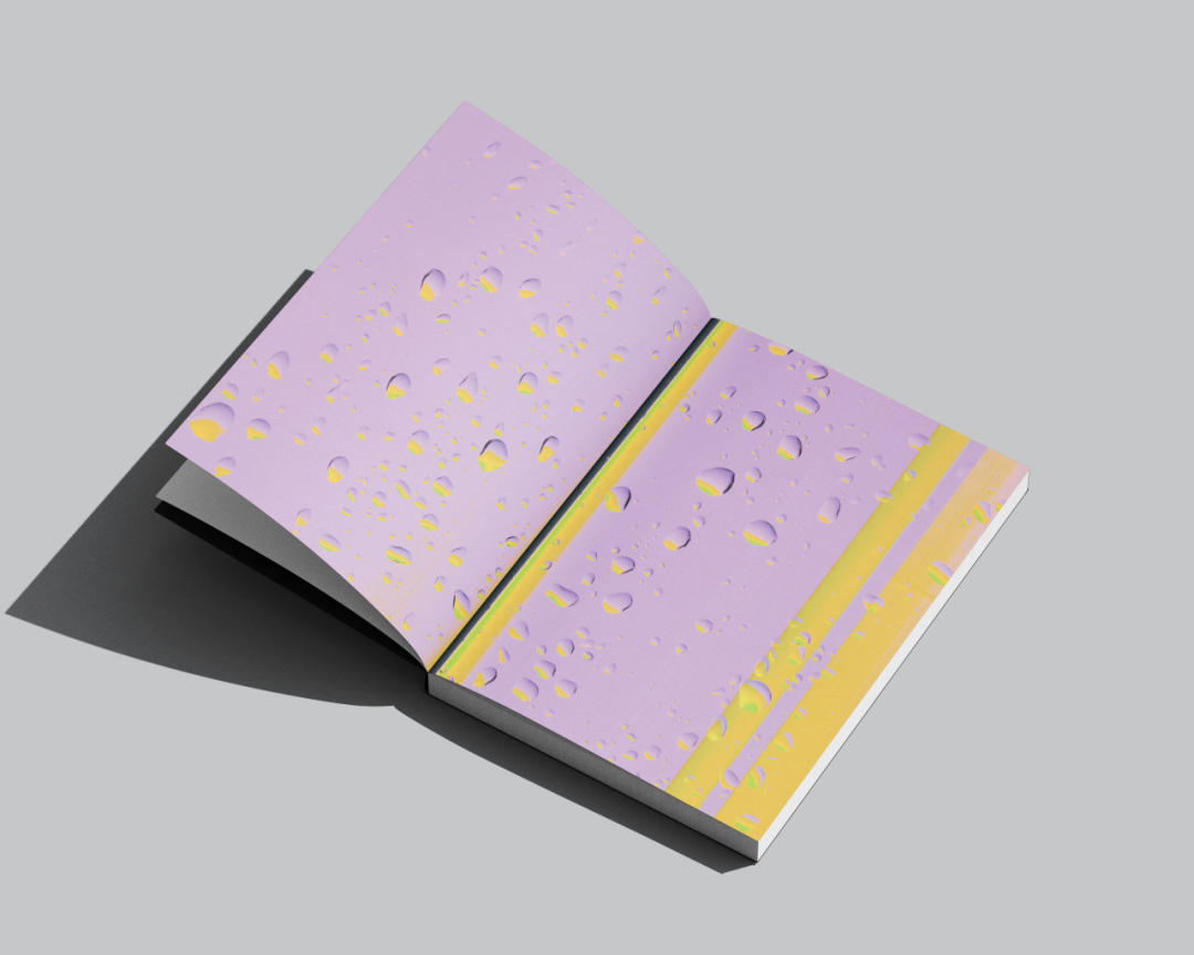美国平面设计协会 AIGA(American Institute of Graphic Arts)2025 年最佳书籍与封面设计 · 作品图234