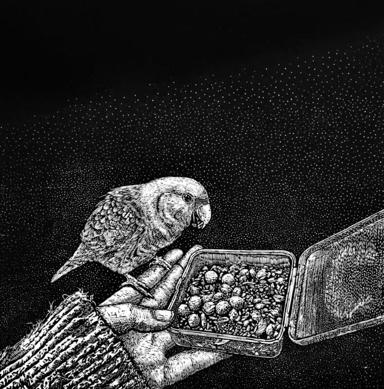 2026中国美术家协会首届现代插画艺术大展获奖作品(第三部分) · 作品图133