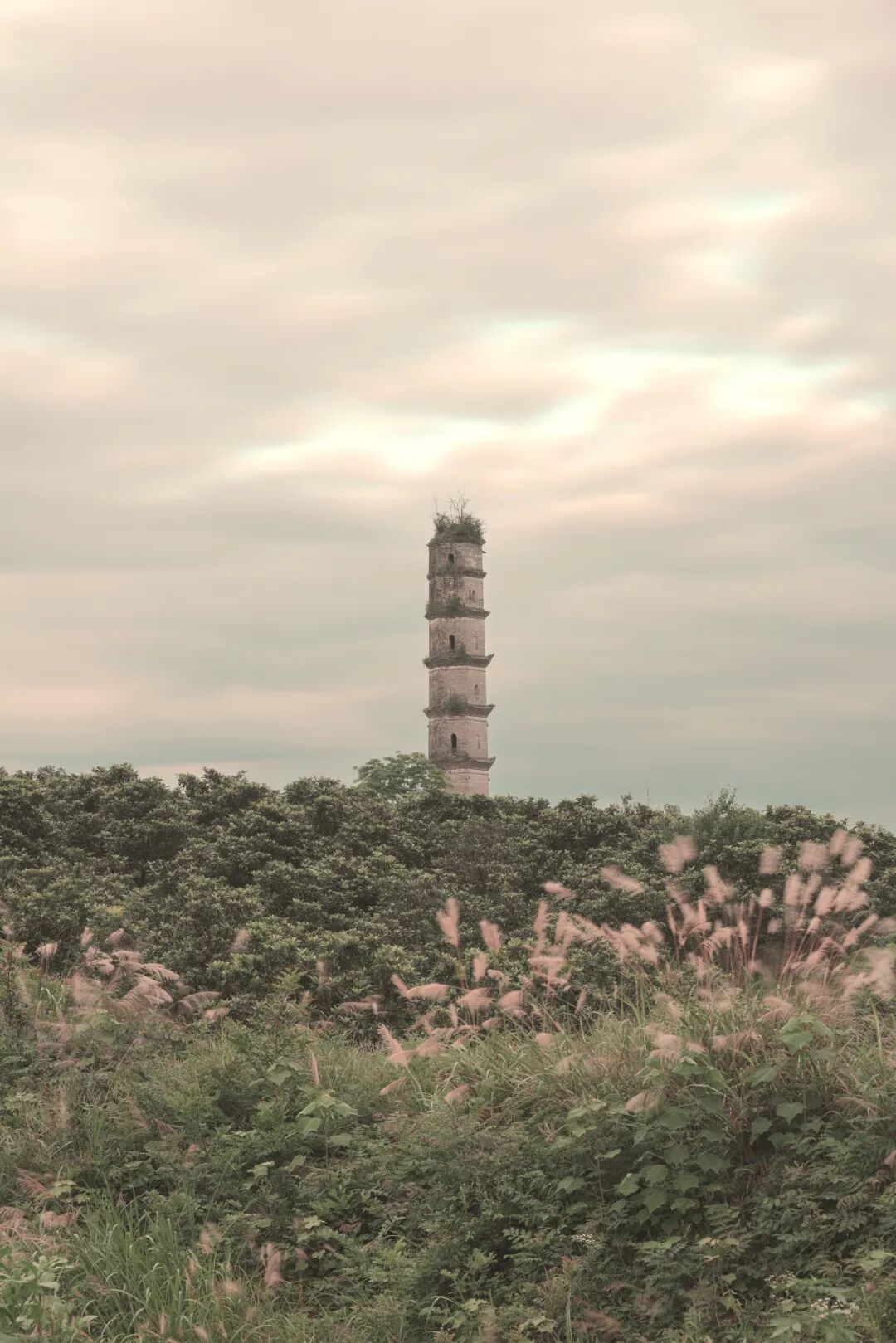 2026 “匠心营造·经典流传”第一届“中国古建筑”摄影大展 | 线上展览(三) · 作品图183