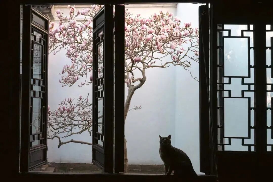 2026 “匠心营造·经典流传”第一届“中国古建筑”摄影大展 | 线上展览(一) · 作品图173