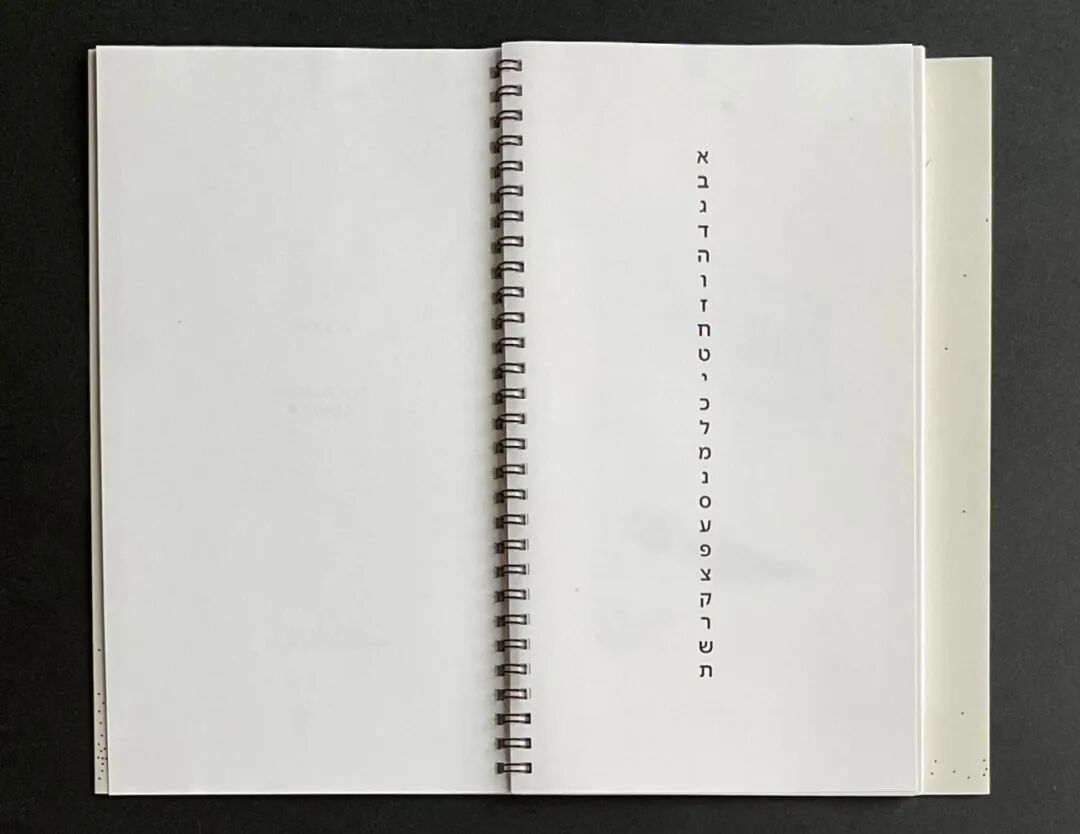 美国平面设计协会 AIGA(American Institute of Graphic Arts)2025 年最佳书籍与封面设计 · 作品图203