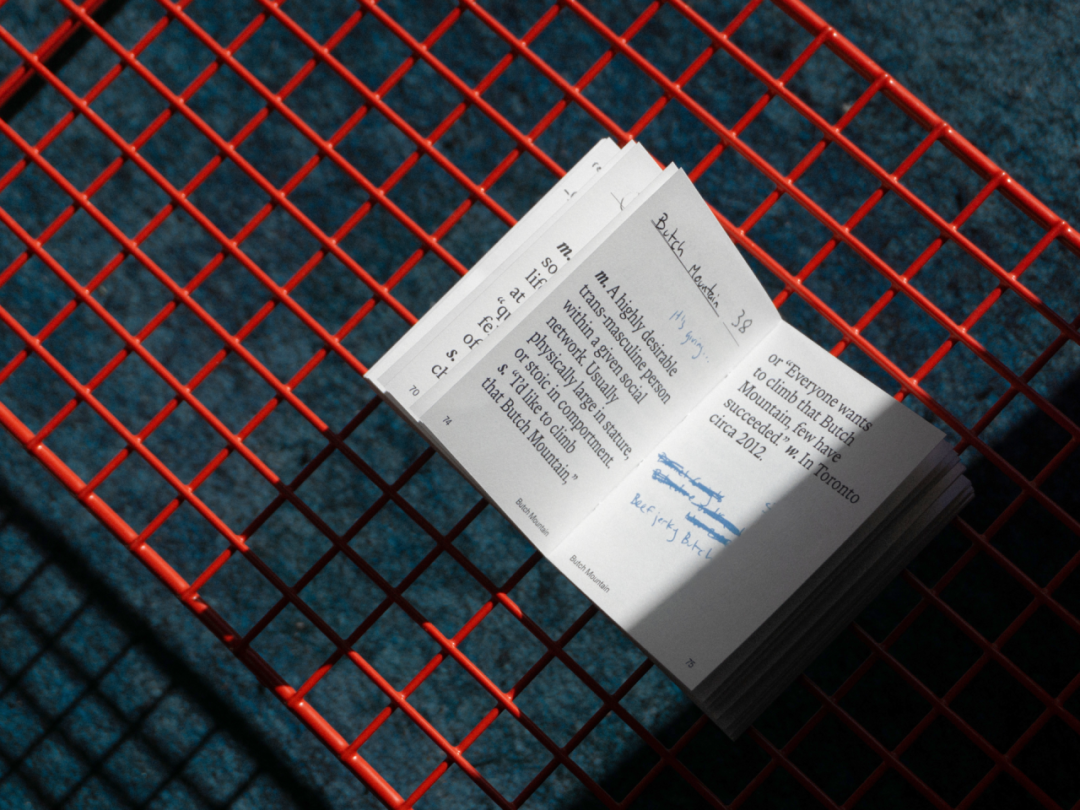 美国平面设计协会 AIGA(American Institute of Graphic Arts)2025 年最佳书籍与封面设计 · 作品图225