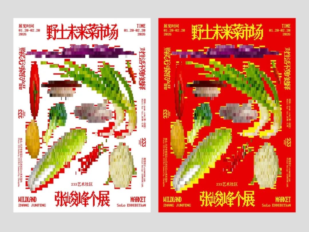 第72届TDC纽约字体指导俱乐部大奖中国区及华人25件获奖作品 · 作品图49