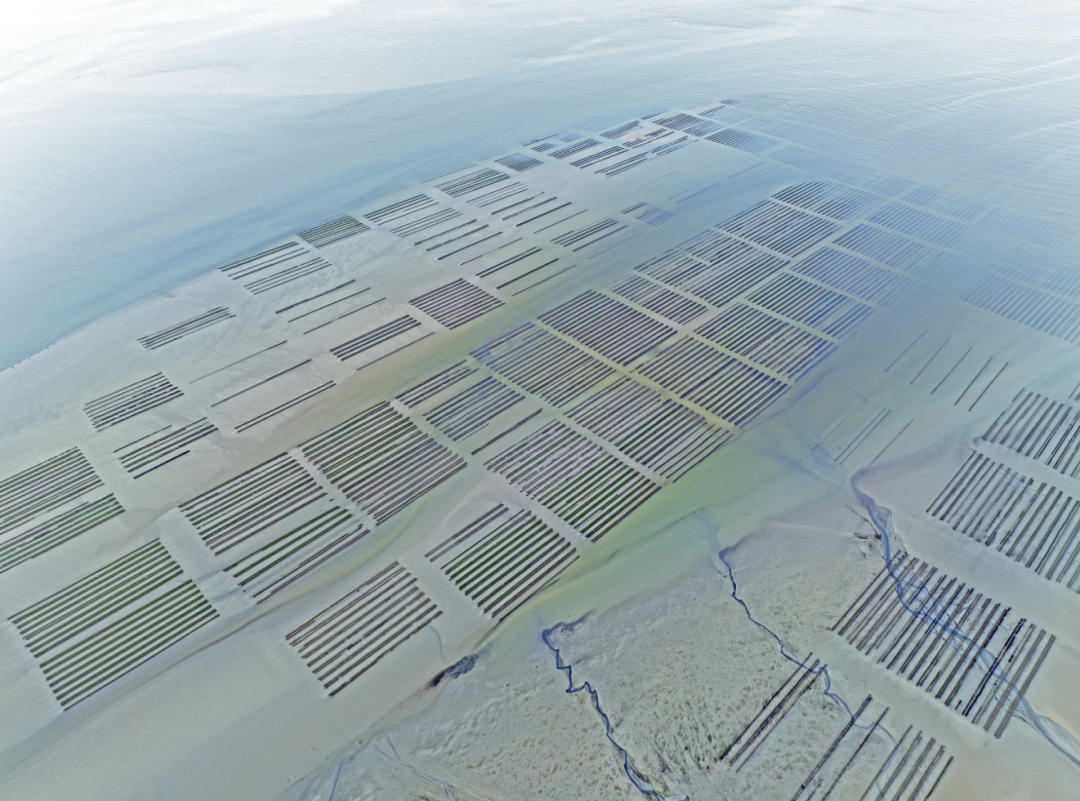2026年索尼世界摄影大赛专业组获奖作品(风景组) · 作品图10