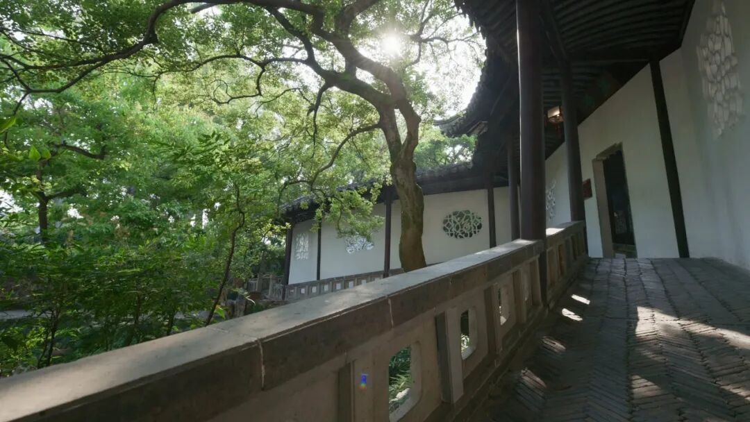 “看见·不可见之境”—苏州科技馆“微观世界”摄影作品征集大赛获奖公示 · 作品图250