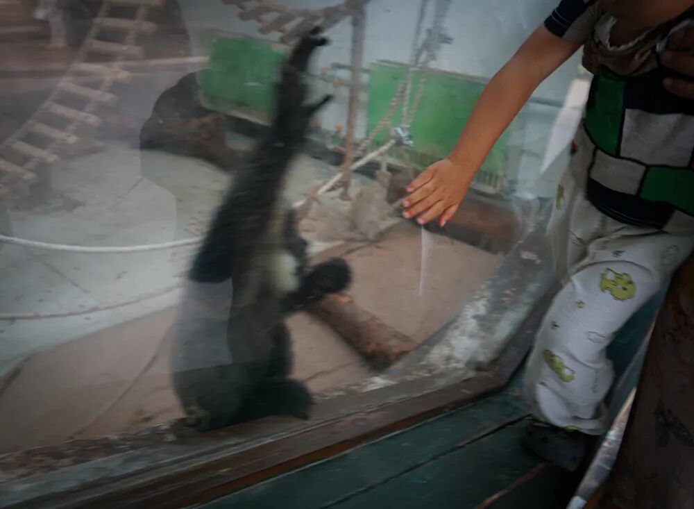 2026第二十届河南省“新人新作”摄影展入选作品公示(相机组一) · 作品图38