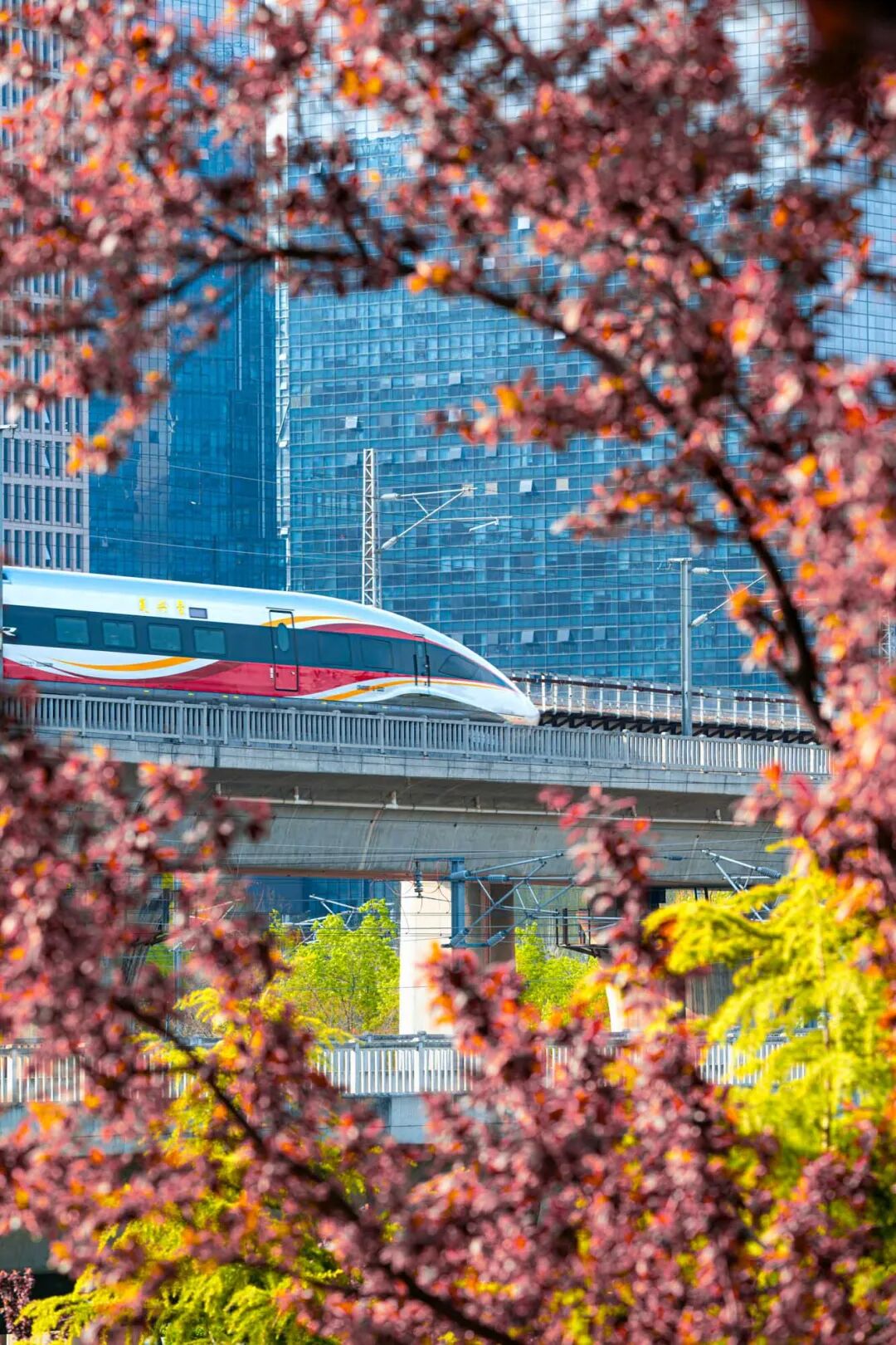 2026第二十届河南省“新人新作”摄影展入选作品公示(相机组一) · 作品图280