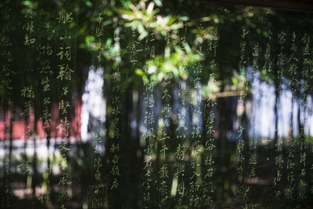 “看见·不可见之境”—苏州科技馆“微观世界”摄影作品征集大赛获奖公示 · 作品图165