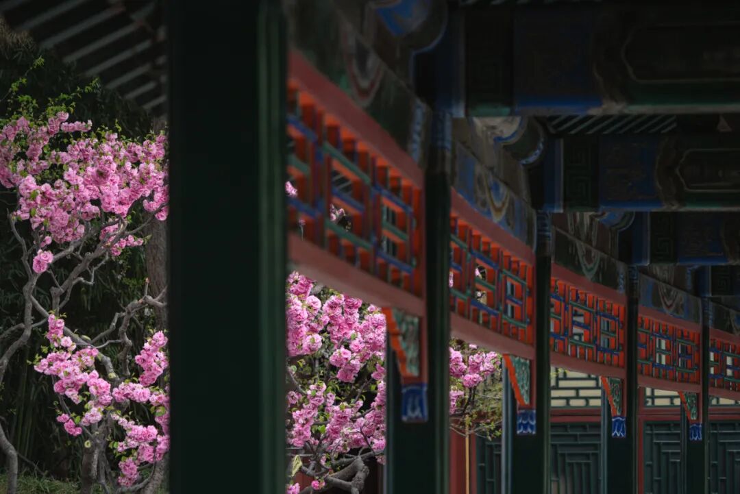 2026 “匠心营造·经典流传”第一届“中国古建筑”摄影大展 | 线上展览(三) · 作品图143