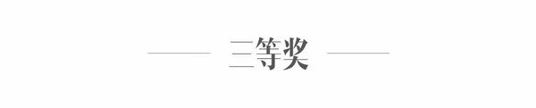 2026第二十届河南省“新人新作”摄影展入选作品公示(相机组一) · 作品图94