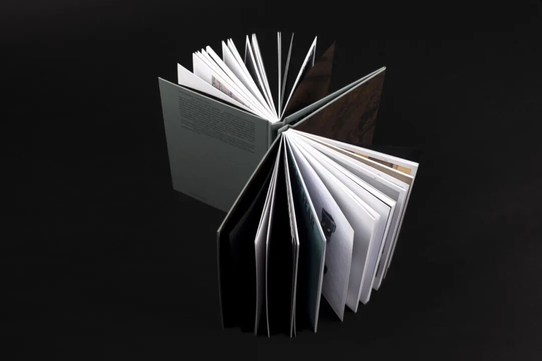 美国平面设计协会 AIGA(American Institute of Graphic Arts)2025 年最佳书籍与封面设计 · 作品图86