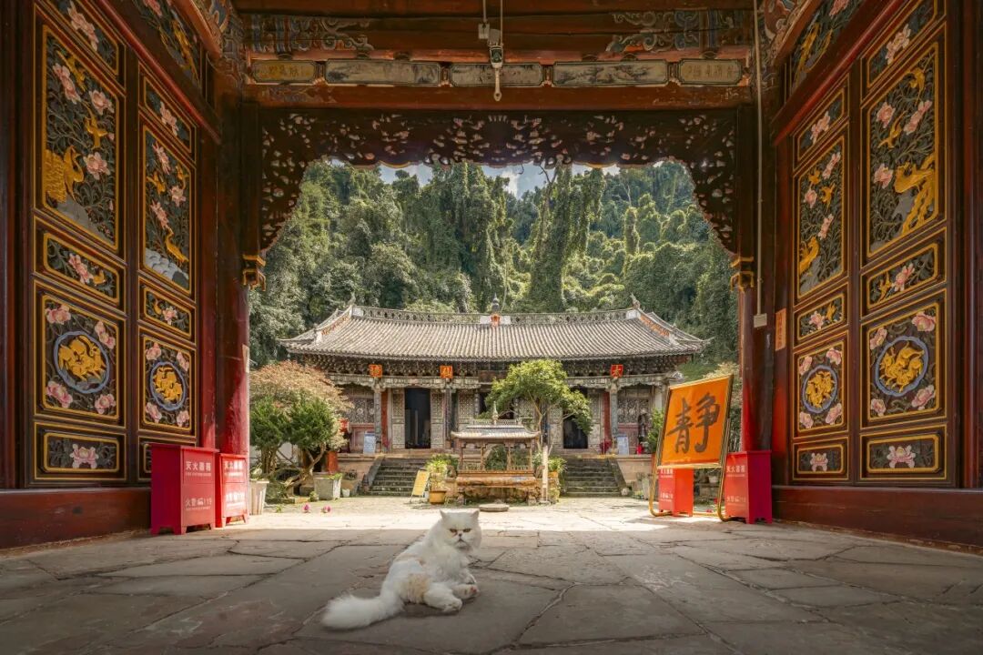 2026 “匠心营造·经典流传”第一届“中国古建筑”摄影大展 | 线上展览 (二) · 作品图238