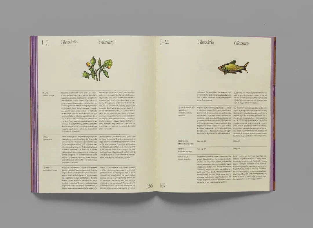 美国平面设计协会 AIGA(American Institute of Graphic Arts)2025 年最佳书籍与封面设计 · 作品图293