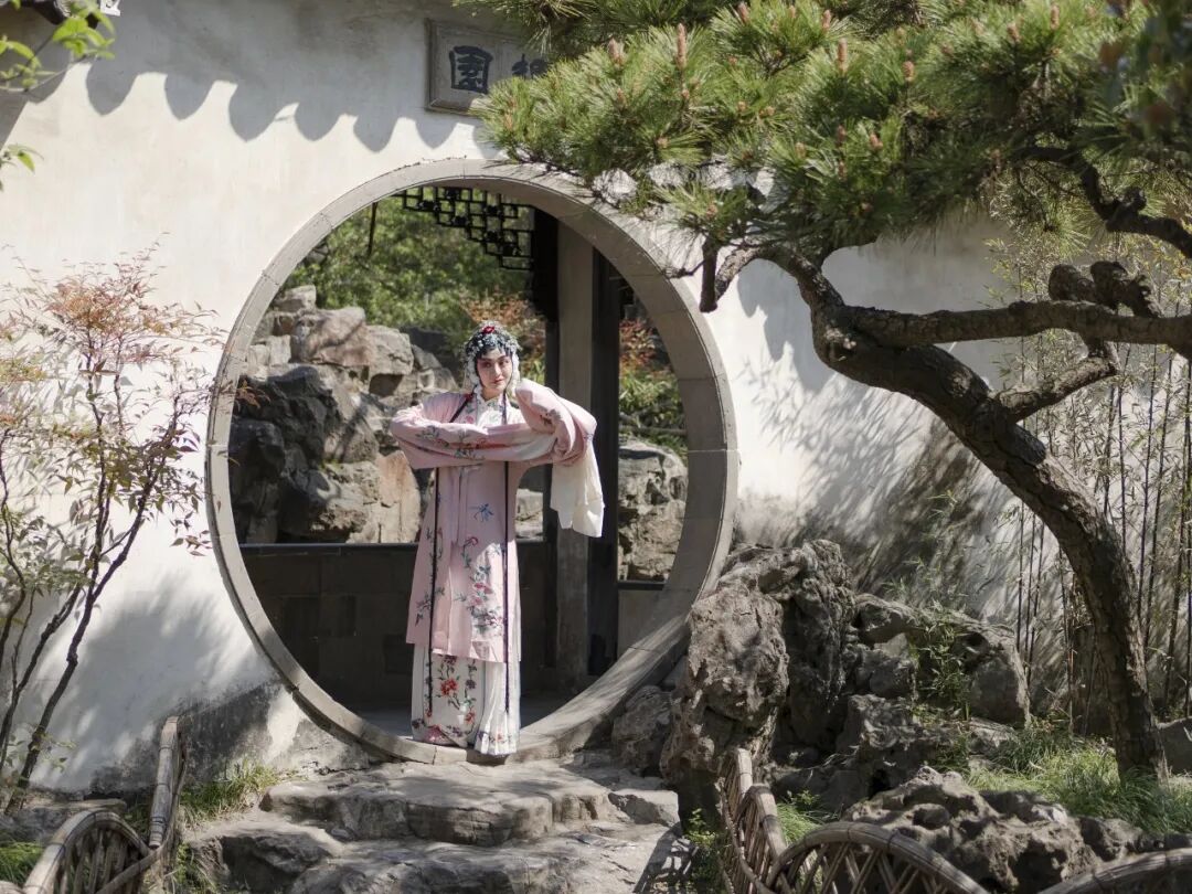 “看见·不可见之境”—苏州科技馆“微观世界”摄影作品征集大赛获奖公示 · 作品图231