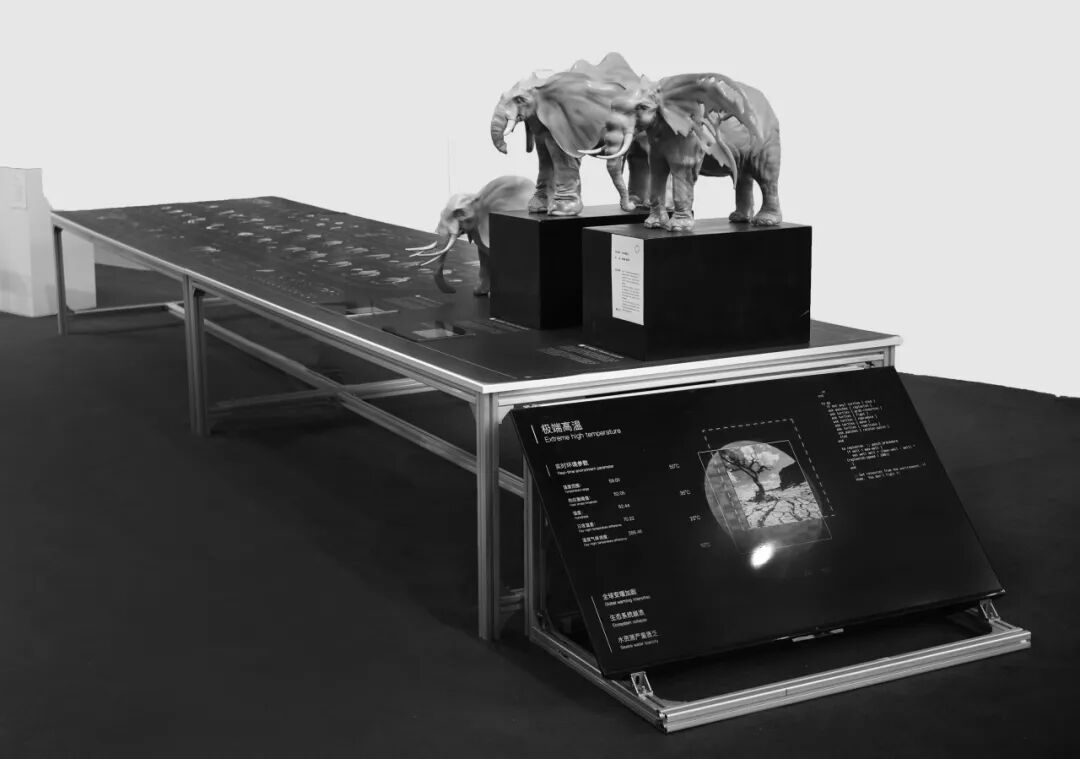 KTK 设计奖 2025 学生组获奖精选 | 优秀奖作品选辑二 · 作品图19