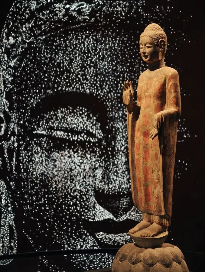 “看见·不可见之境”—苏州科技馆“微观世界”摄影作品征集大赛获奖公示 · 作品图223