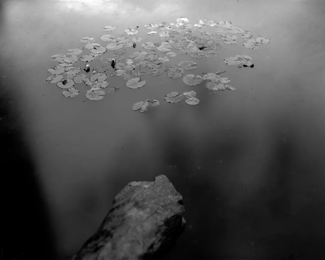 2026 “匠心营造·经典流传”第一届“中国古建筑”摄影大展 | 线上展览(三) · 作品图325