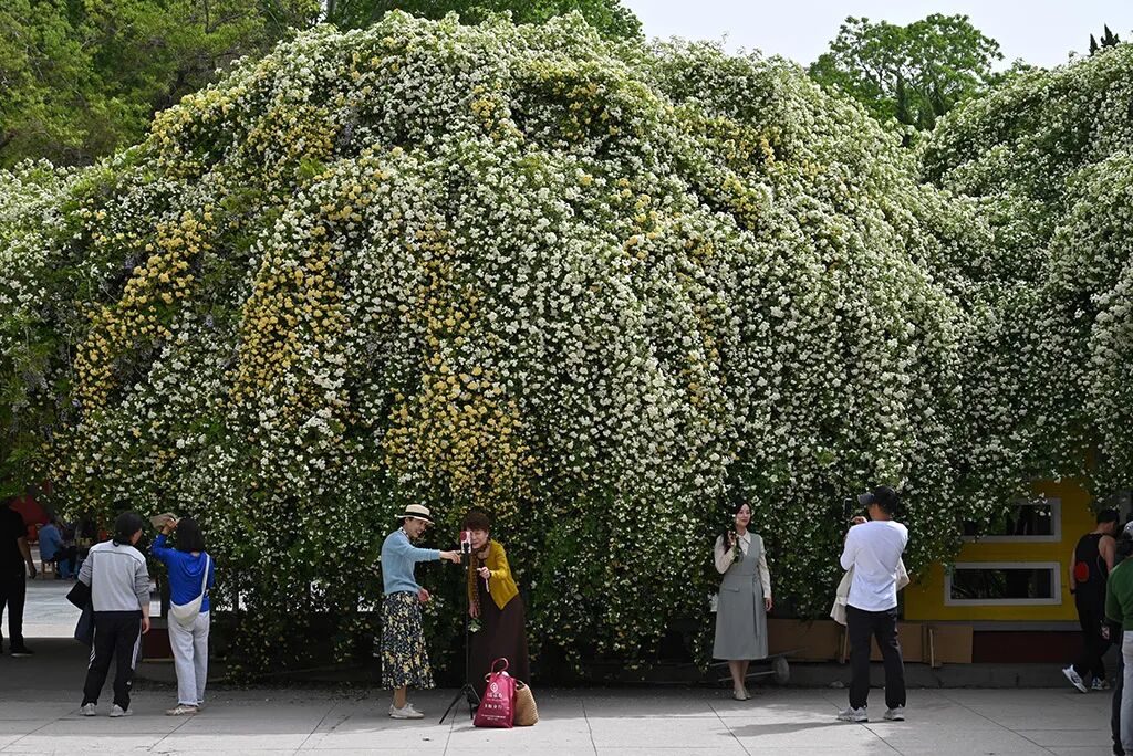 2026第二十届河南省“新人新作”摄影展入选作品公示(相机组一) · 作品图461