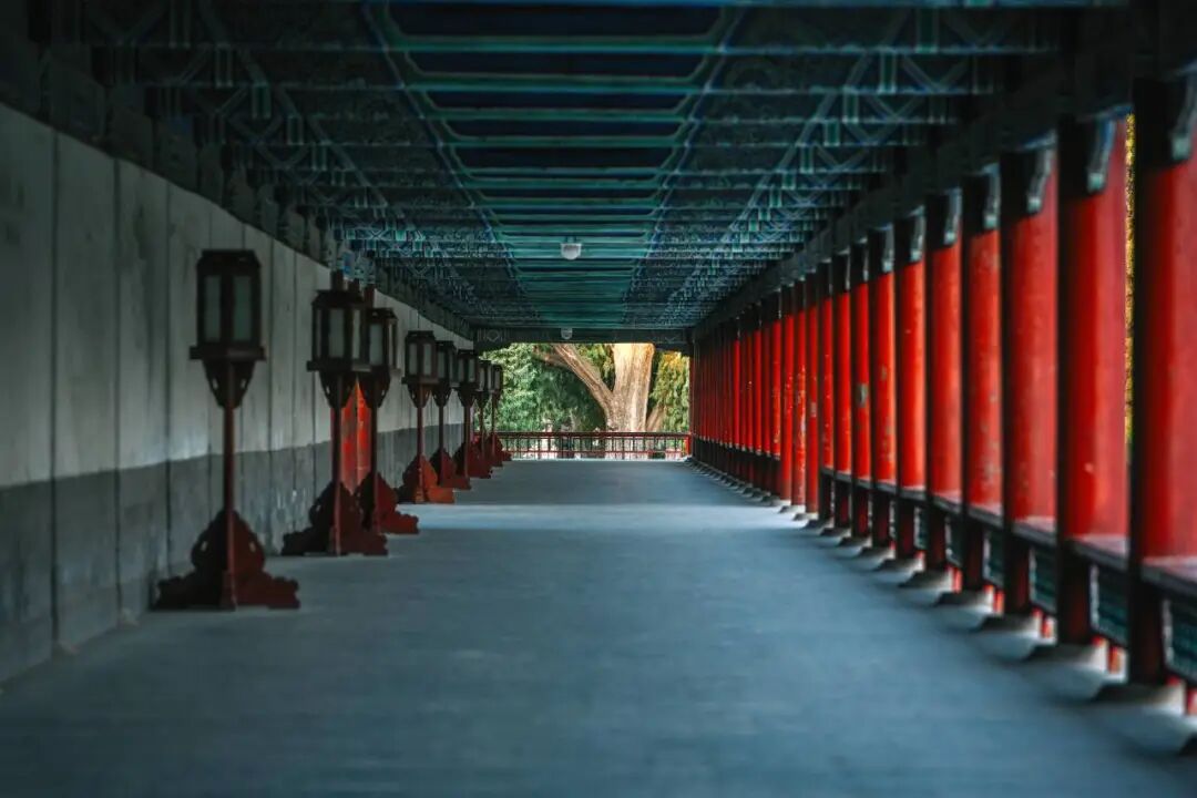 2026 “匠心营造·经典流传”第一届“中国古建筑”摄影大展 | 线上展览 (二) · 作品图308