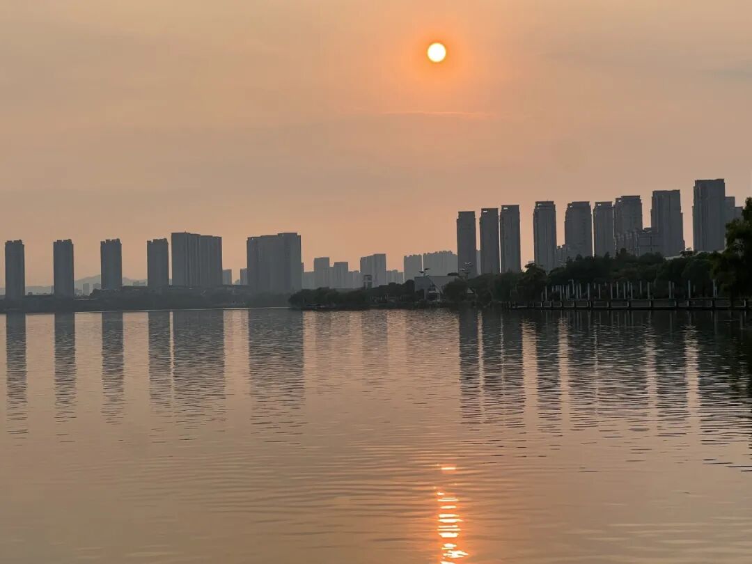 “看见·不可见之境”—苏州科技馆“微观世界”摄影作品征集大赛获奖公示 · 作品图239
