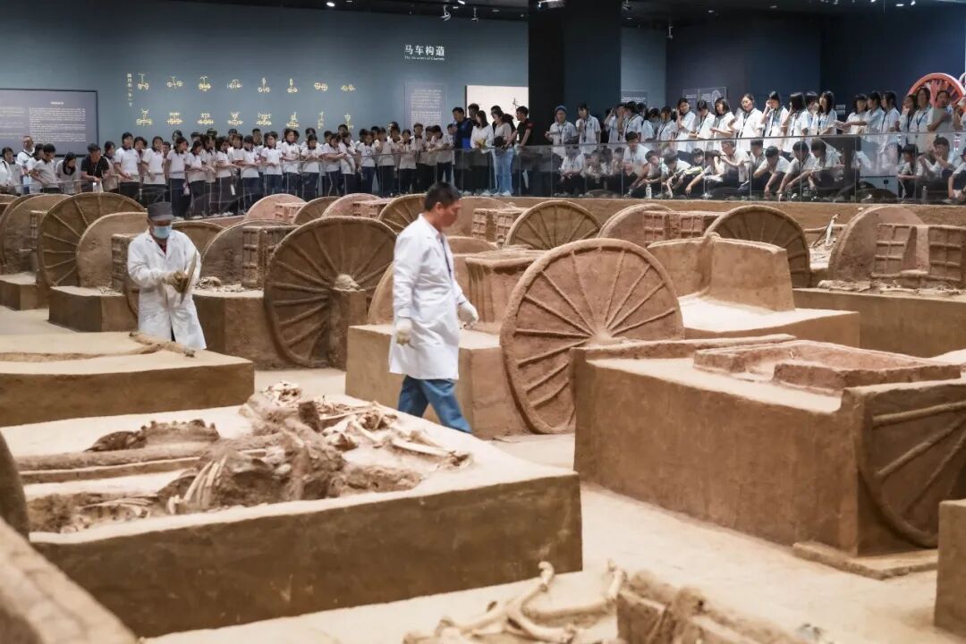 2026第二十届河南省“新人新作”摄影展入选作品公示(相机组一) · 作品图301