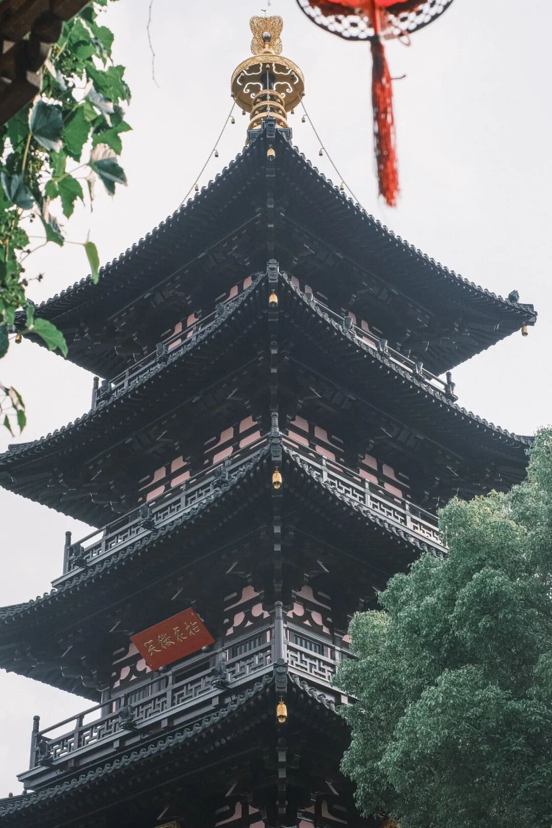“看见·不可见之境”—苏州科技馆“微观世界”摄影作品征集大赛获奖公示 · 作品图192