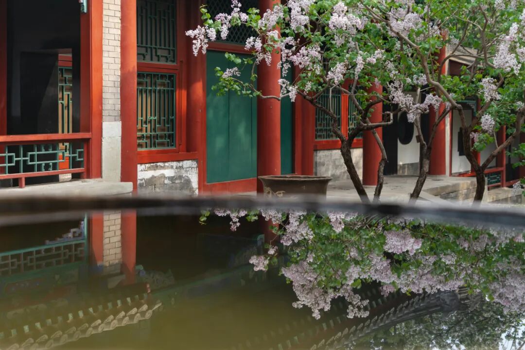 2026 “匠心营造·经典流传”第一届“中国古建筑”摄影大展 | 线上展览(三) · 作品图141