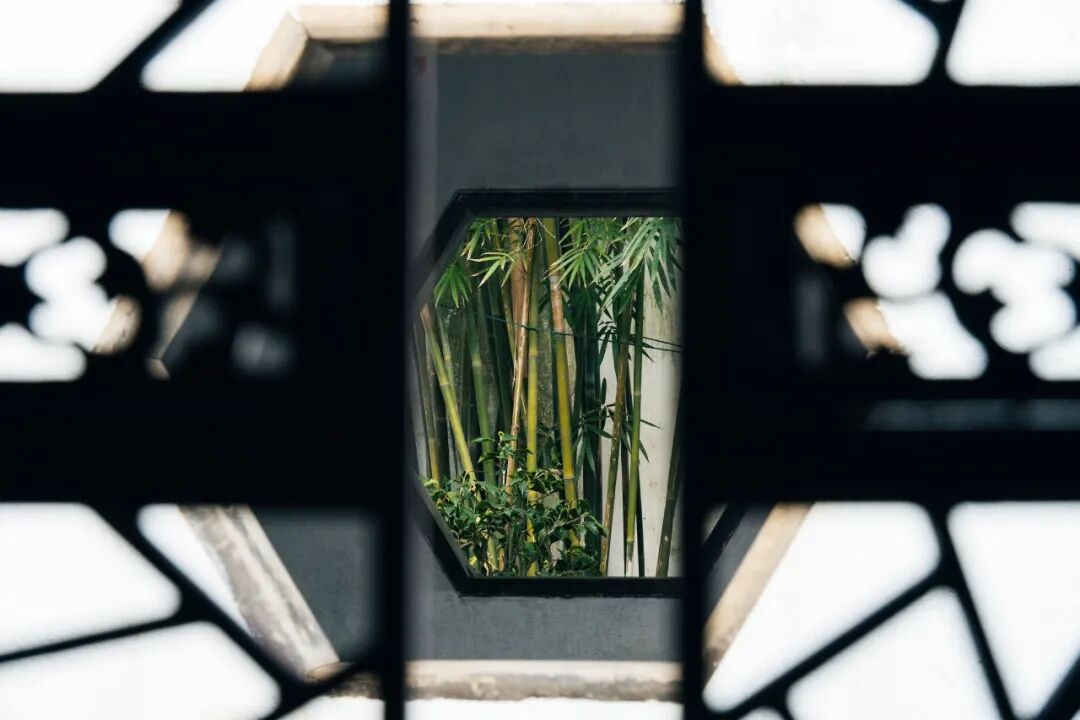 “看见·不可见之境”—苏州科技馆“微观世界”摄影作品征集大赛获奖公示 · 作品图160