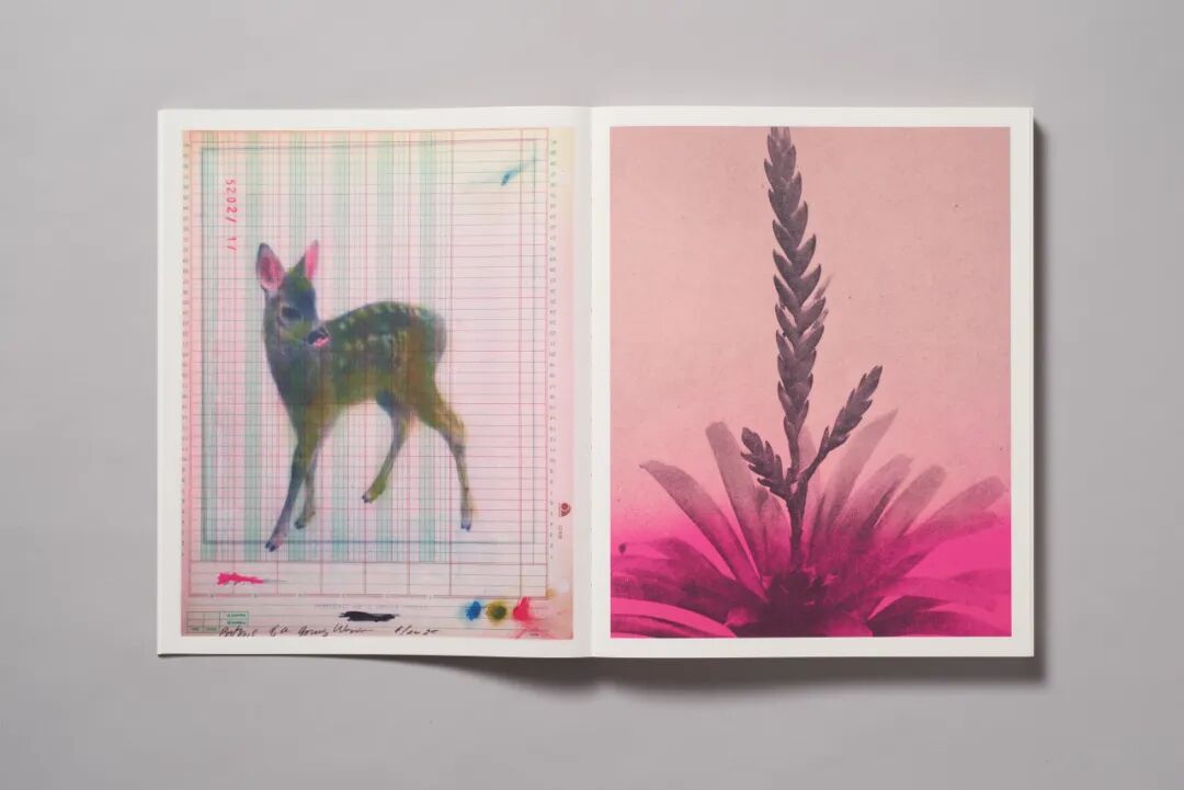 美国平面设计协会 AIGA(American Institute of Graphic Arts)2025 年最佳书籍与封面设计 · 作品图30
